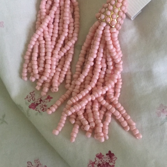 NWOT Tassel Drop Earrings FINAL PRICE - Picture 5 of 5